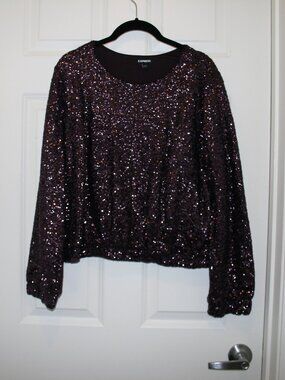 Express Purple Sequin Banded Bottom Top